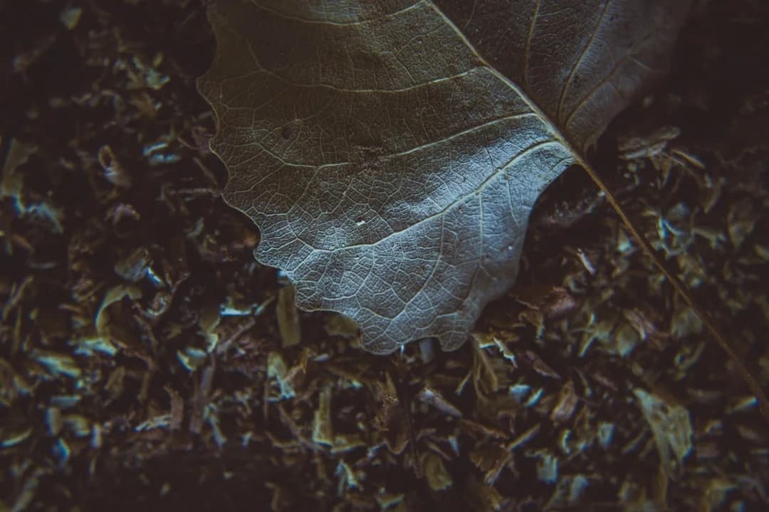 Gerard Piqué Leaves His Mark at Iconic ‘El Pimpi’