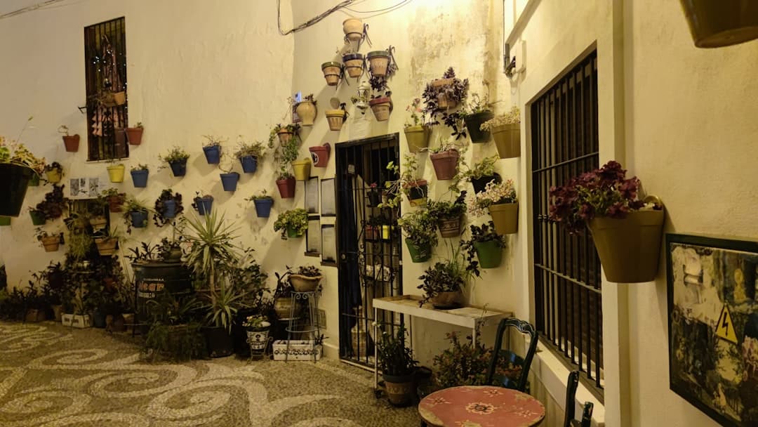 Dinner show restaurant atmosphere Málaga