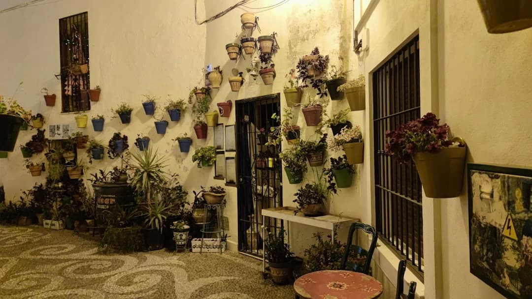 Pre-Theater Dining in Málaga: Renewed Classics in the Historic Center