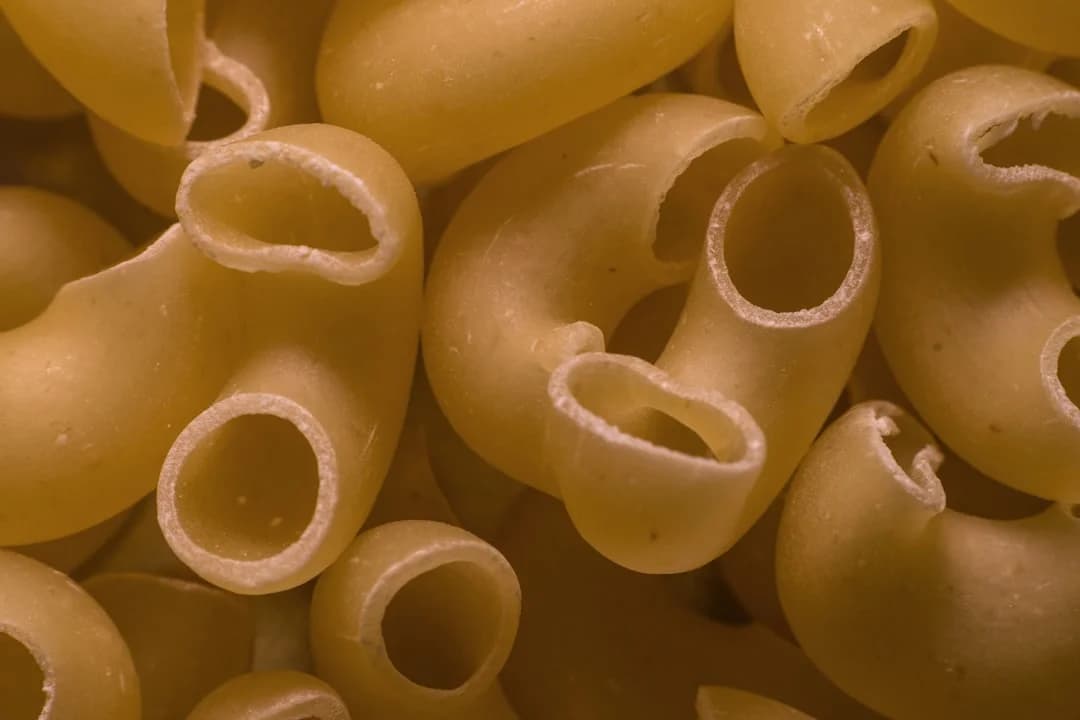 fresh artisanal ravioli pasta