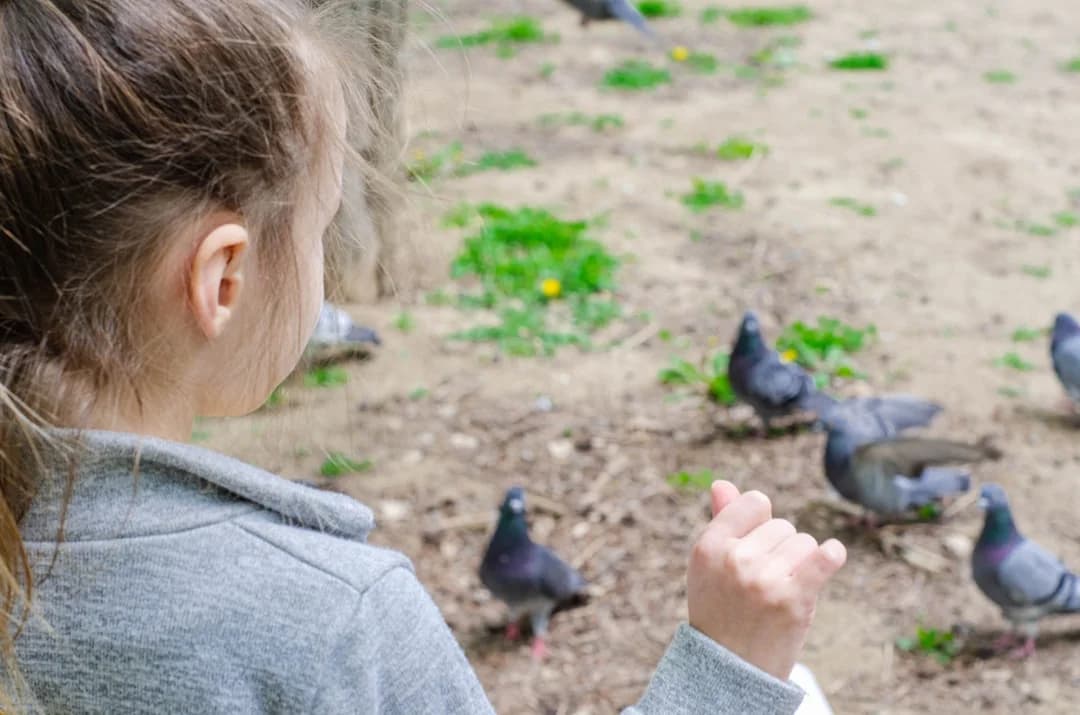kids petting farm animals nature