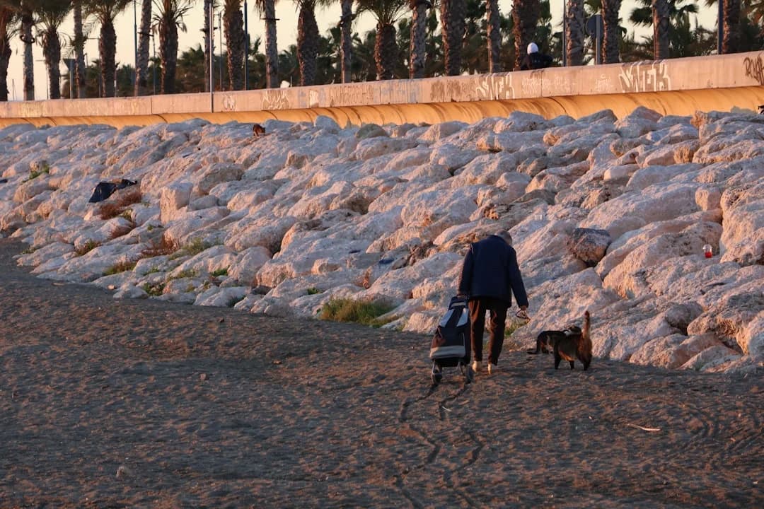 Malaga beach sand repair tractor