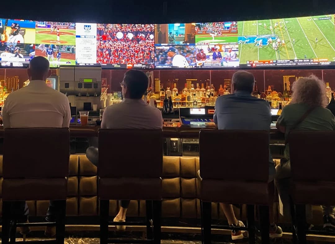 fans watching sports in a bar