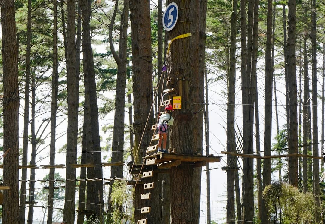 Yujuland: Riesiger 30.000 qm großer Abenteuerpark eröffnet in Málaga