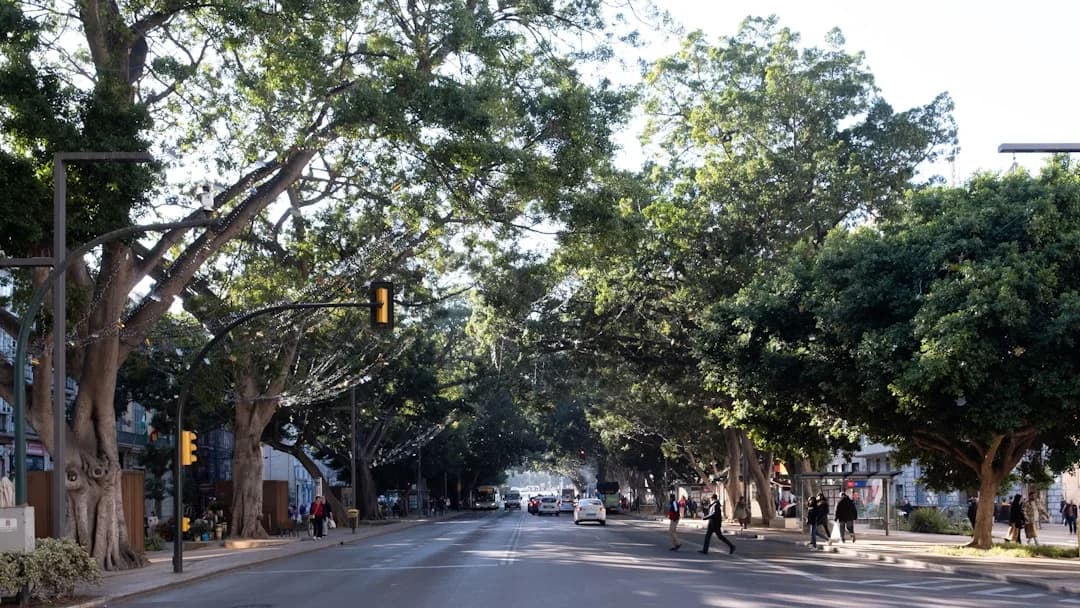 Weekend Mobility Alert: Traffic Cuts & Roadworks Across Malaga