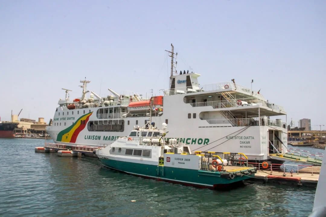 World’s Largest Floating Library & Lightsaber Battles: Weekend Plans in Málaga