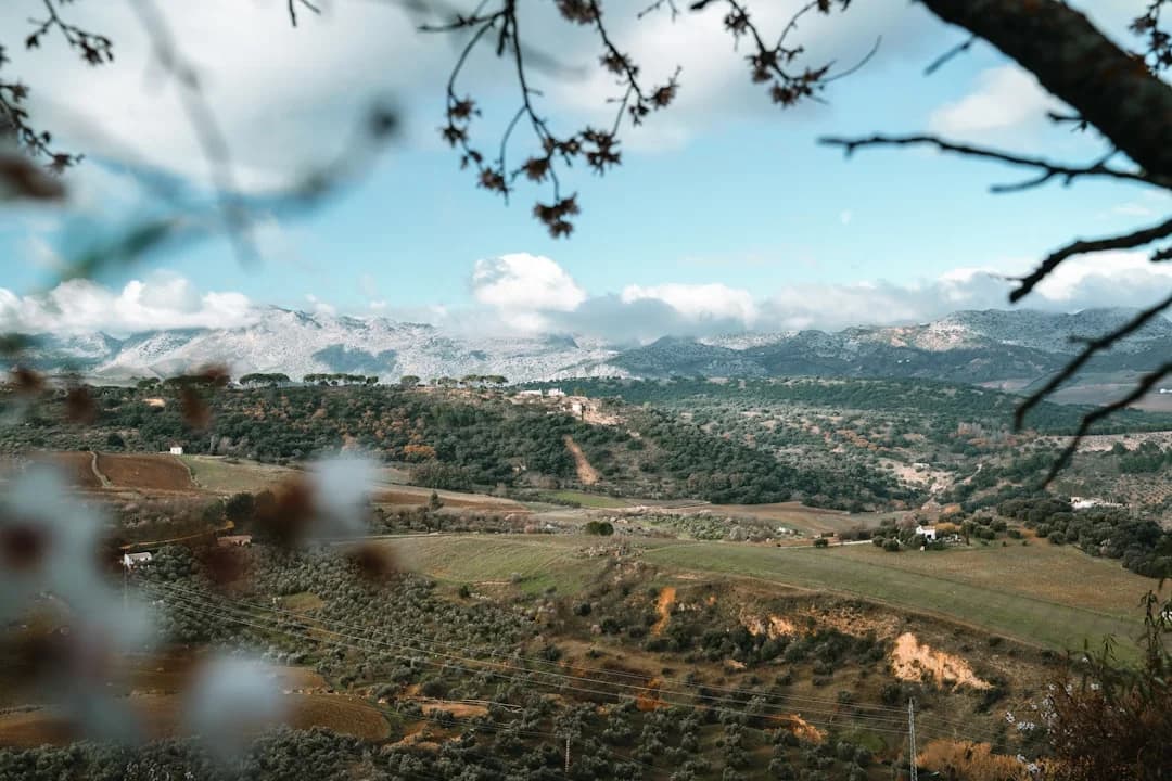 5 Breathtaking Hiking Trails to Discover Malaga's Greenest Side