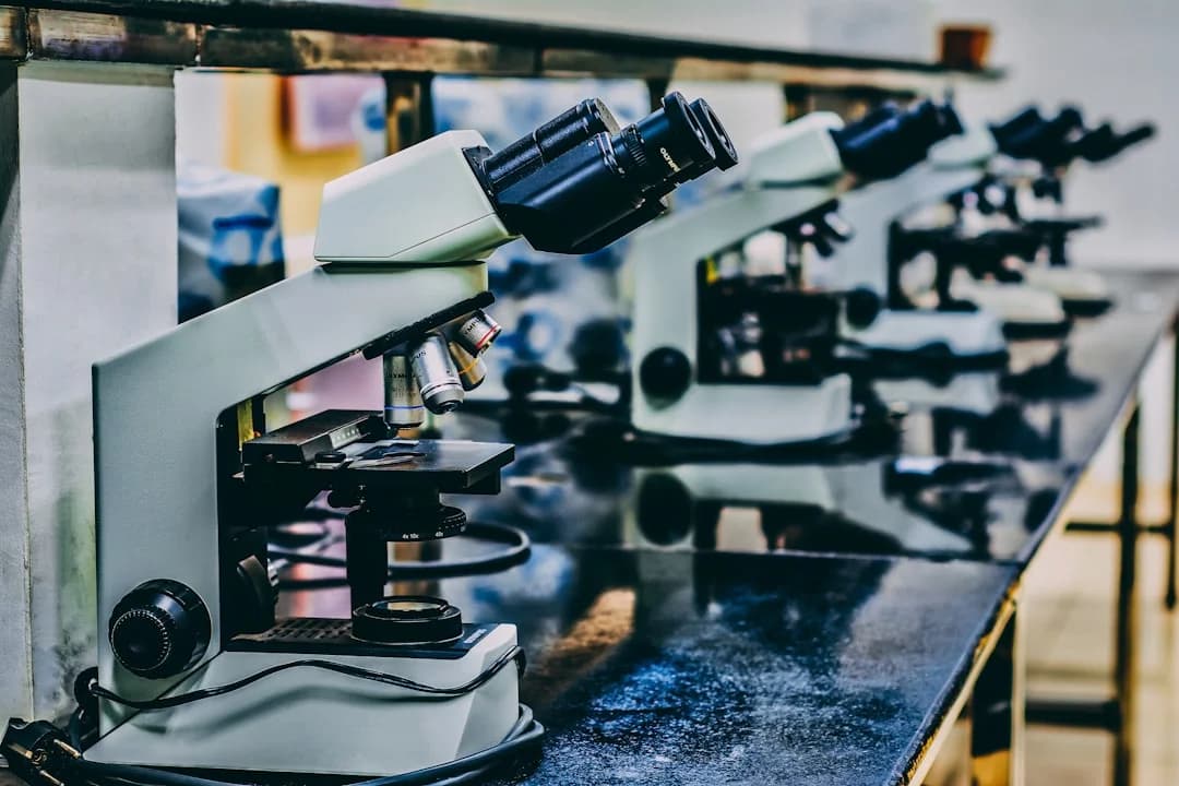 Málaga Researchers Lead European Breakthrough Against Aggressive Blood Cancer