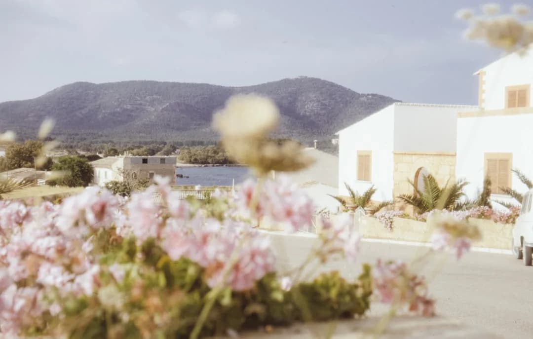 May is the ‘Month of Flowers’: Best Spring Day Trips in Málaga Province
