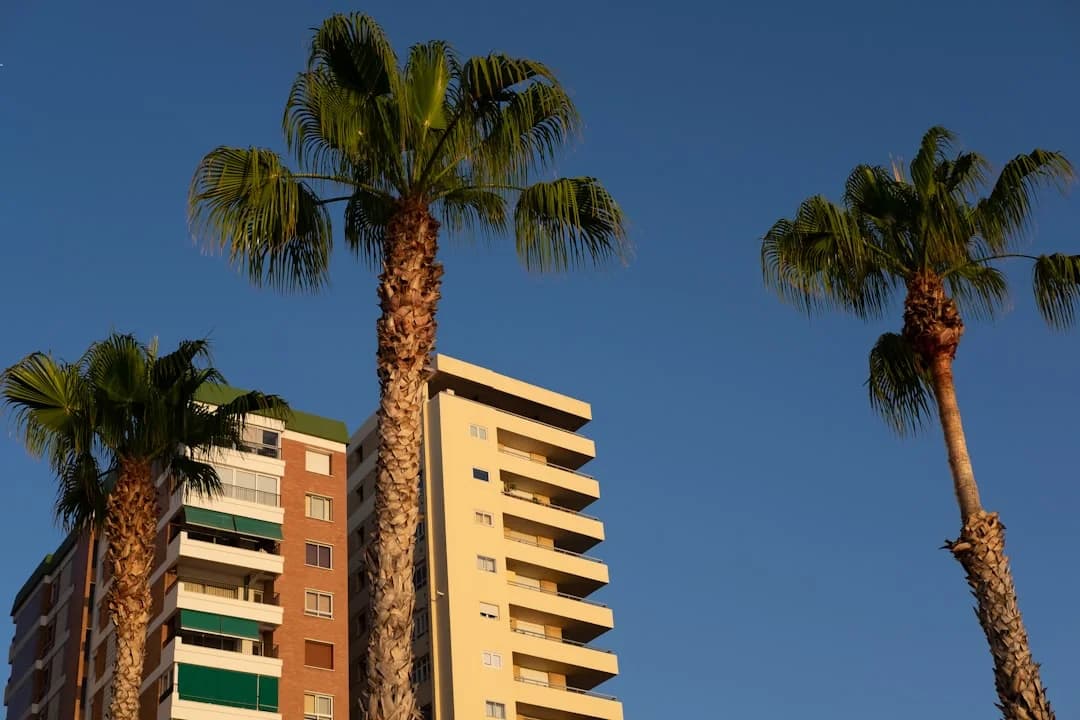 Málaga TechPark exportiert Innovationsmodell nach Mosambik