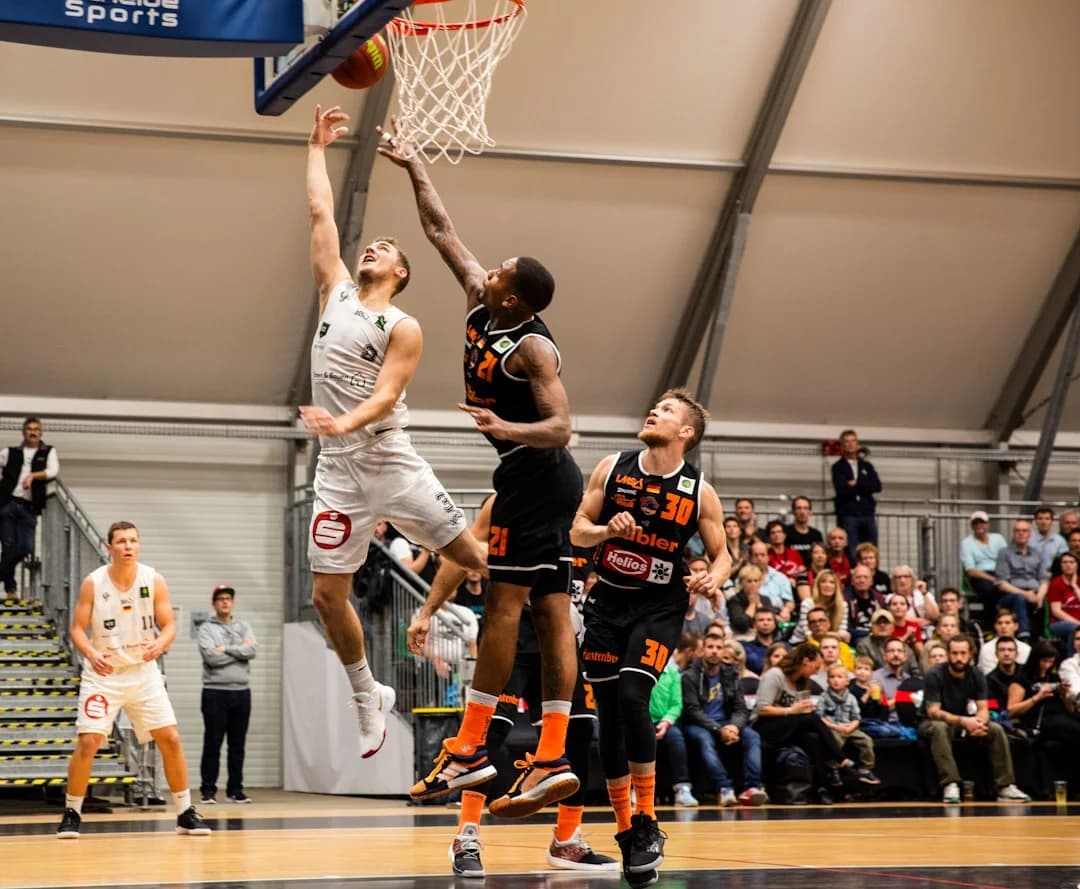 Modernisierung des Martín Carpena soll Unicaja Málaga beflügeln