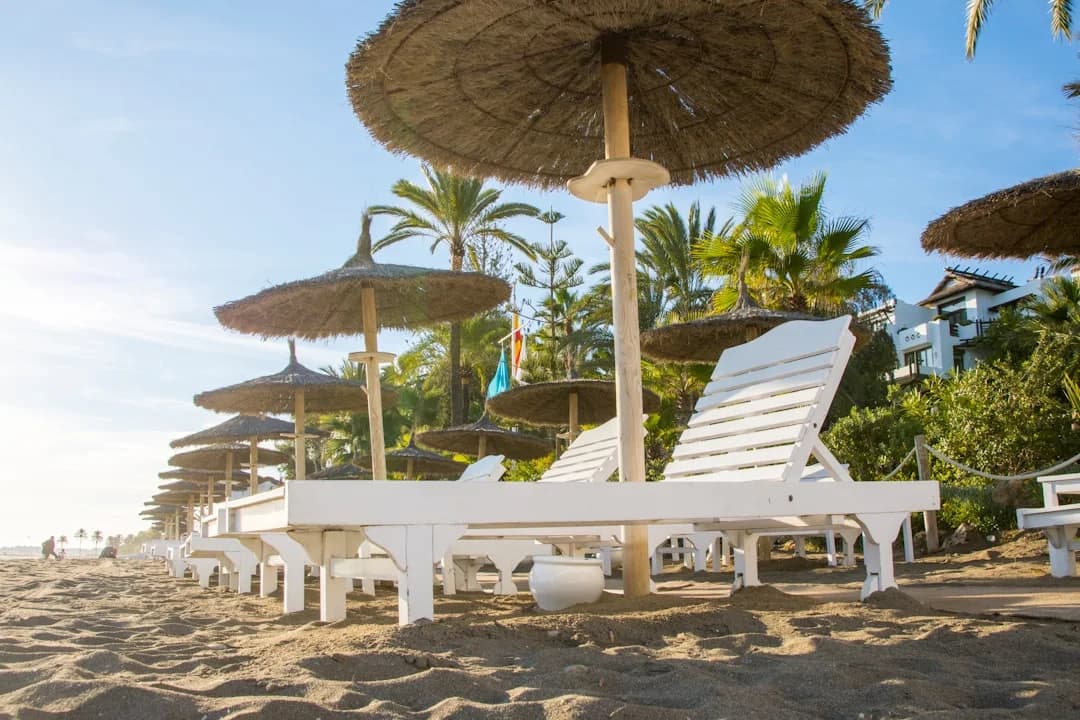 Soleo Marbella Opens 2026 Season with New Menu