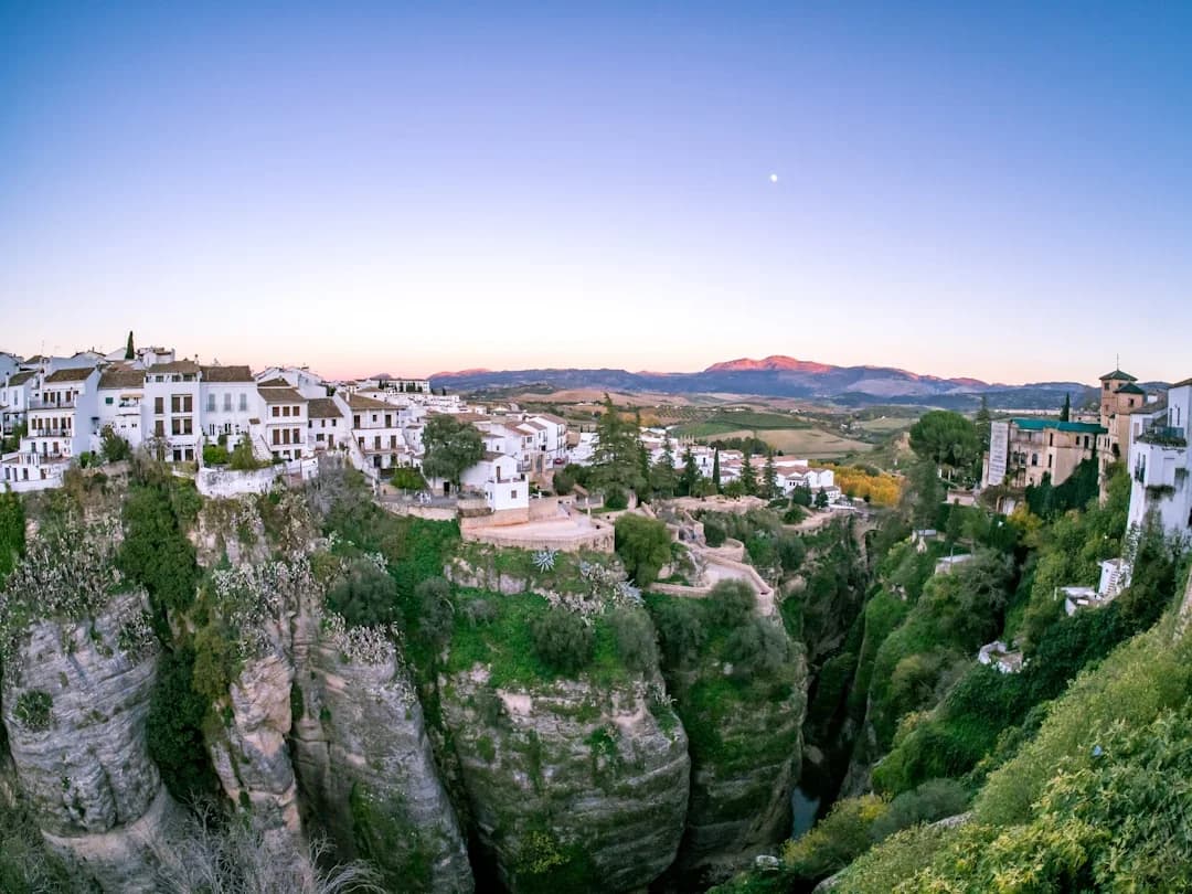Die Geigenspinne in Málaga: Was Expats und Wanderer wissen müssen