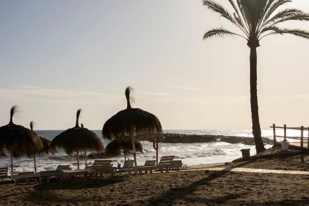 Don Carlos Marbella Launches New Luxury Dining Concepts