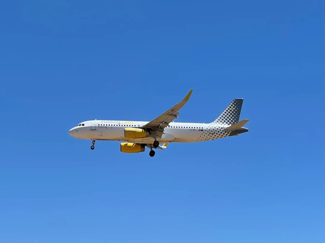Malaga airport cargo logistics