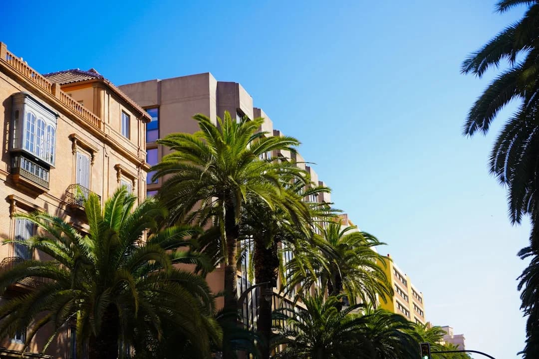 Málaga Hotel Boom: New Projects Near Avenida Juan XXIII