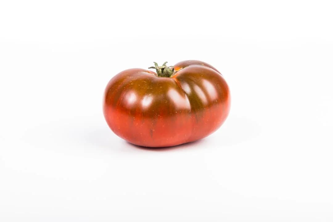 Malaga Tomate Huevo Toro Route 2026 Begins