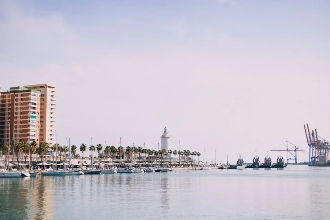 Malaga port concert night