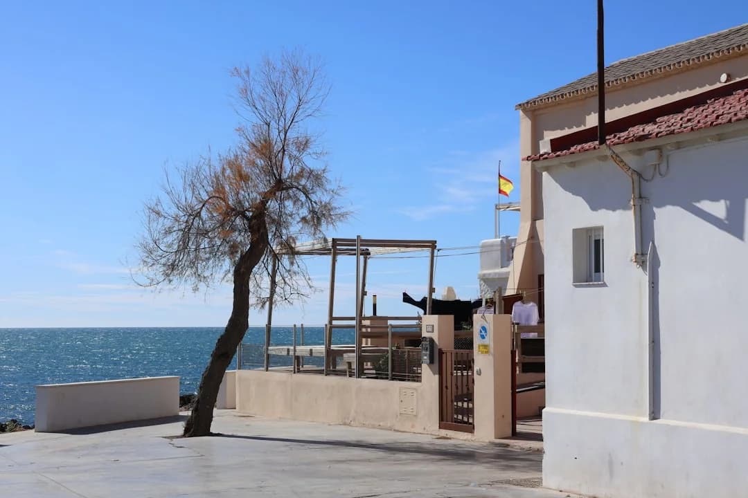 Where to Eat Traditional Food in Malaga Center