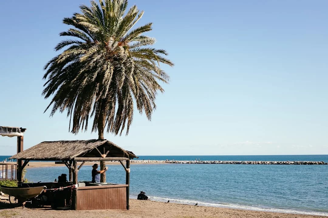 Hundertjähriges Chiringuito in Málaga als bestes Strandrestaurant Spaniens ausgezeichnet