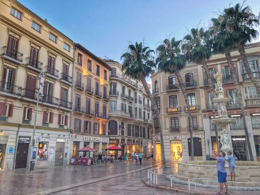 Biotonomy Pitches Interactive Trees for Plaza de la Marina