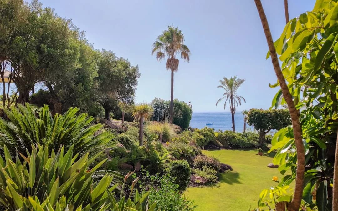 Costa del Sol Hotel Occupancy Tops 90% for August
