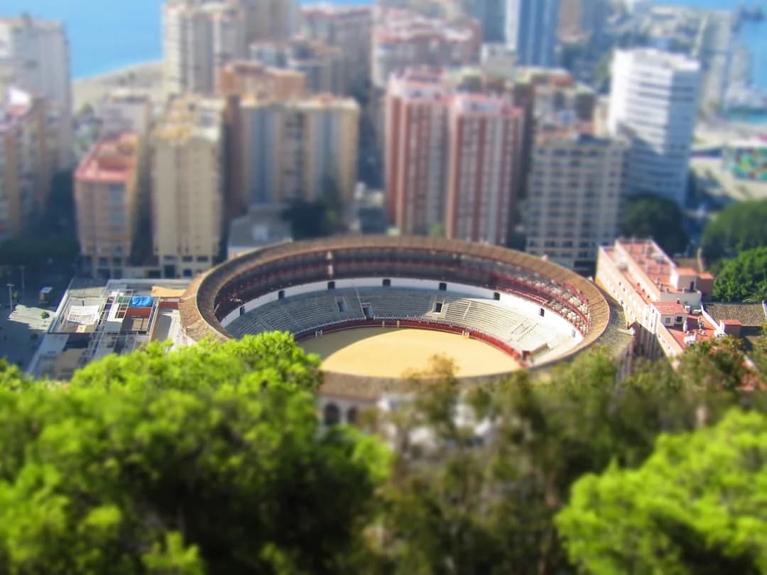 Málaga CF Goalkeeper Debate Settled as Signings Debut