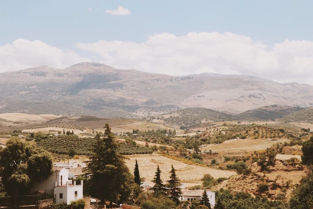 Málaga Wine Guide: Sweet Moscatel & Historic Bodegas