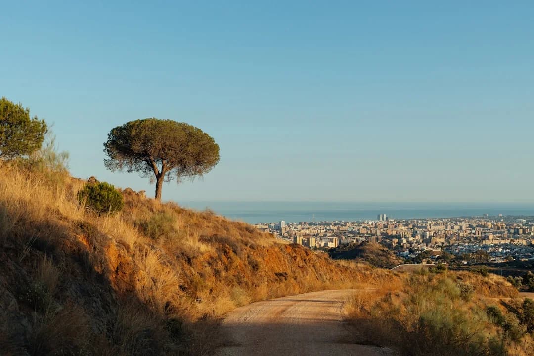 Málaga Weather: Muggy Nights and Airborne Calima Dust