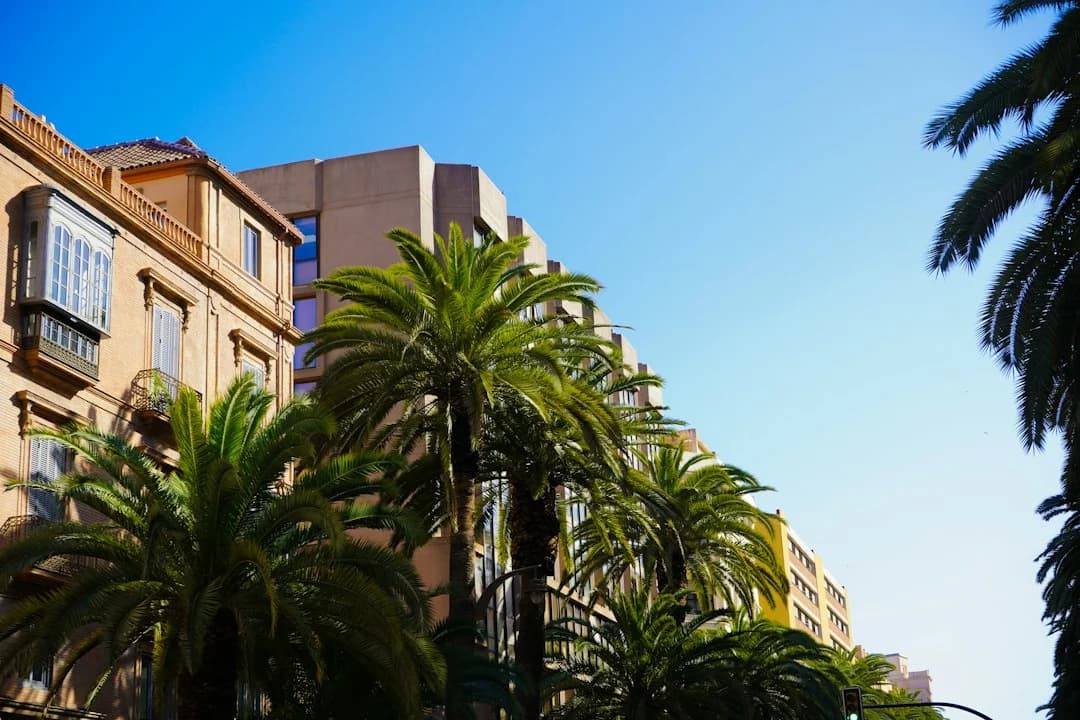 Málaga Housing Prices Surge Across All Districts