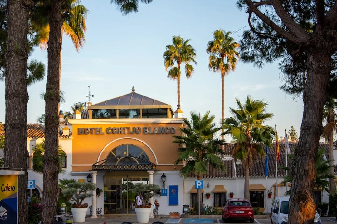 Marbella Hotels Hit Record Employment and 84.6% Occupancy