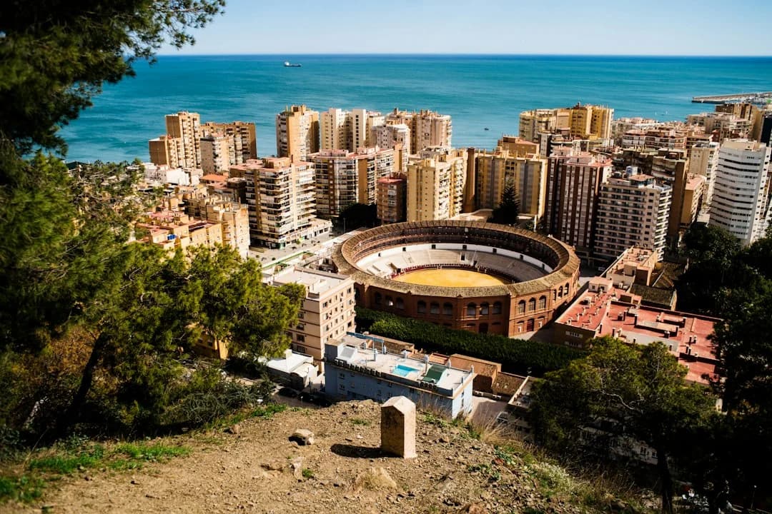 Expat Guide to Unicaja Málaga Basketball at Carpena