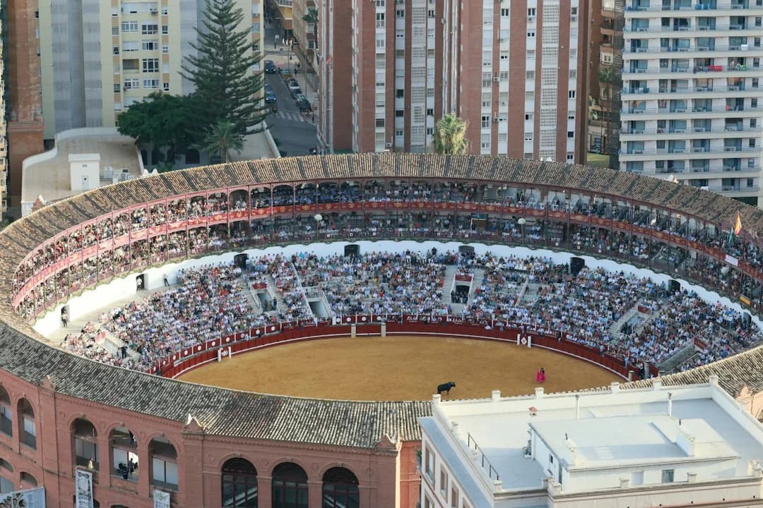 Ausschreibung für das Auditorium in Málaga erhält keine Bauangebote