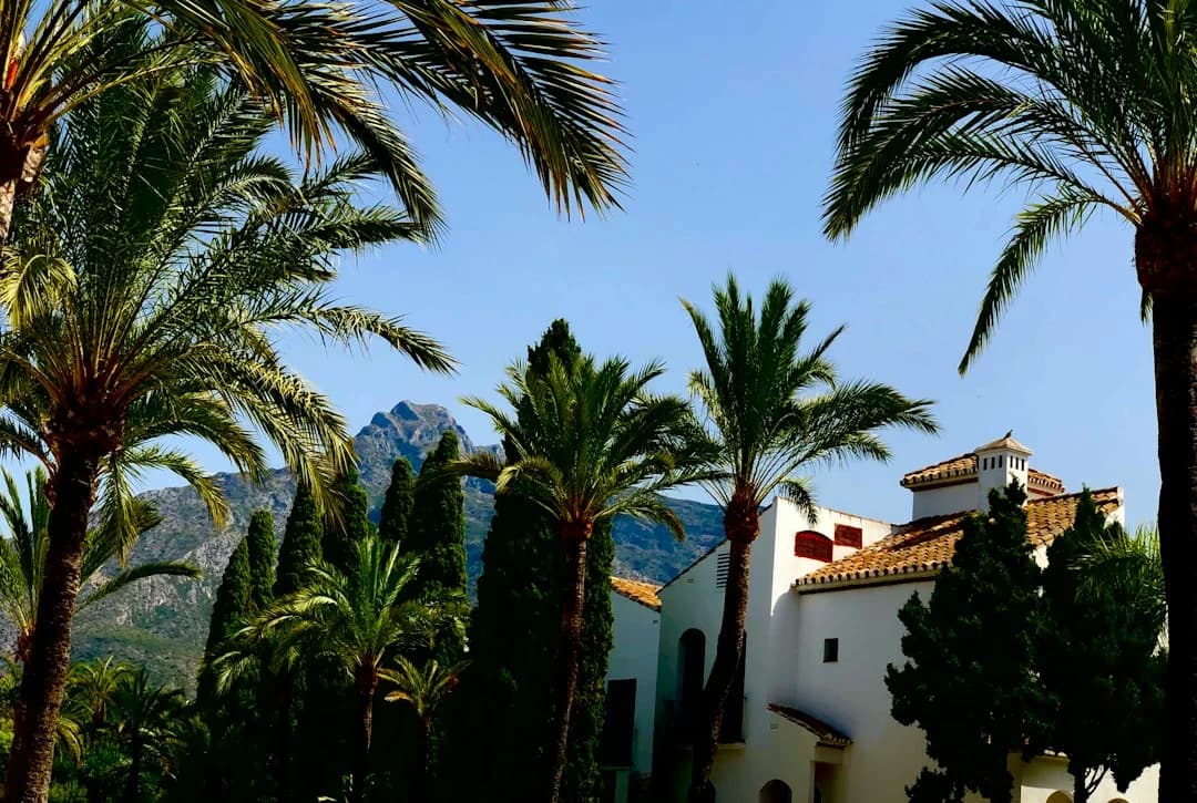 Marbella Mourns Count Rudi,