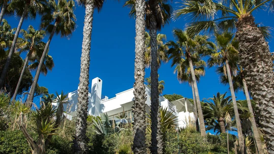 Marbella beschließt Aktualisierung von 15 städtebaulichen Vorschriften