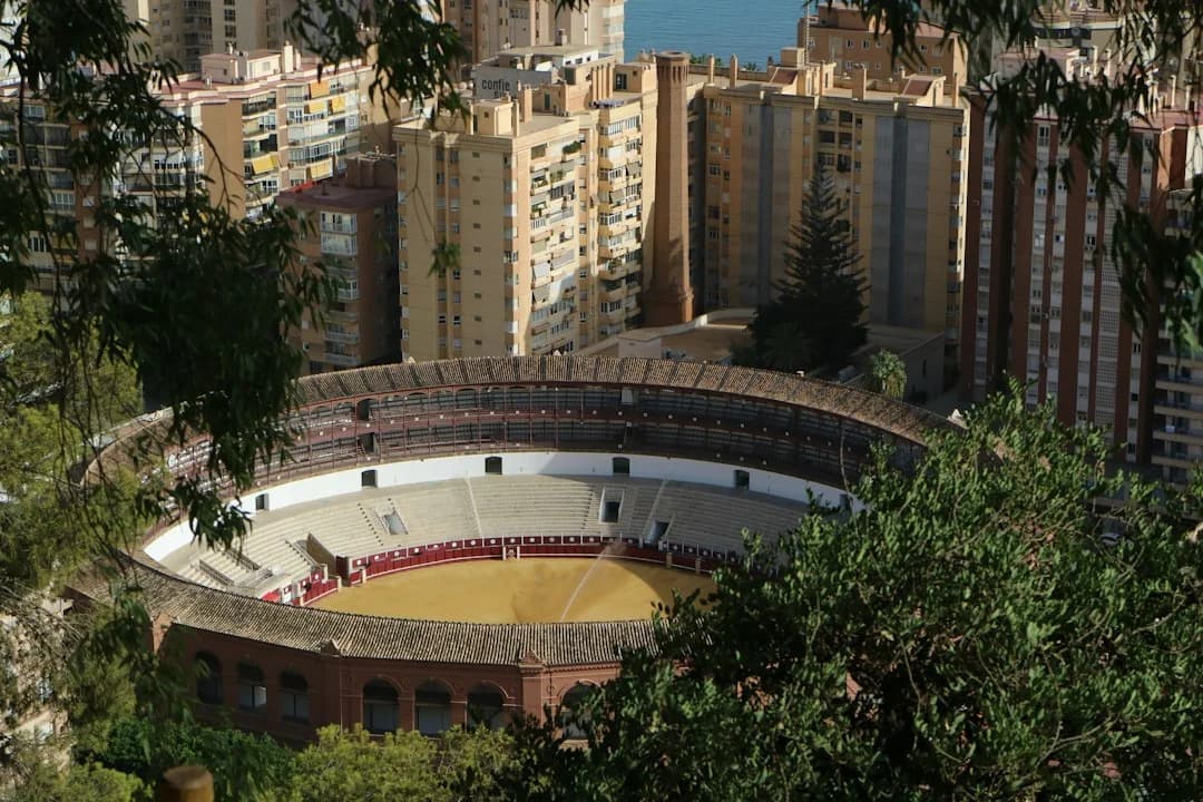 Wie Sie als Expat in Málaga Padel spielen
