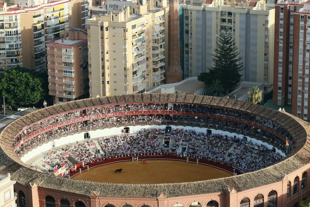 UMA untersucht Auswirkungen des neuen Rosaleda-Stadions in Teatinos
